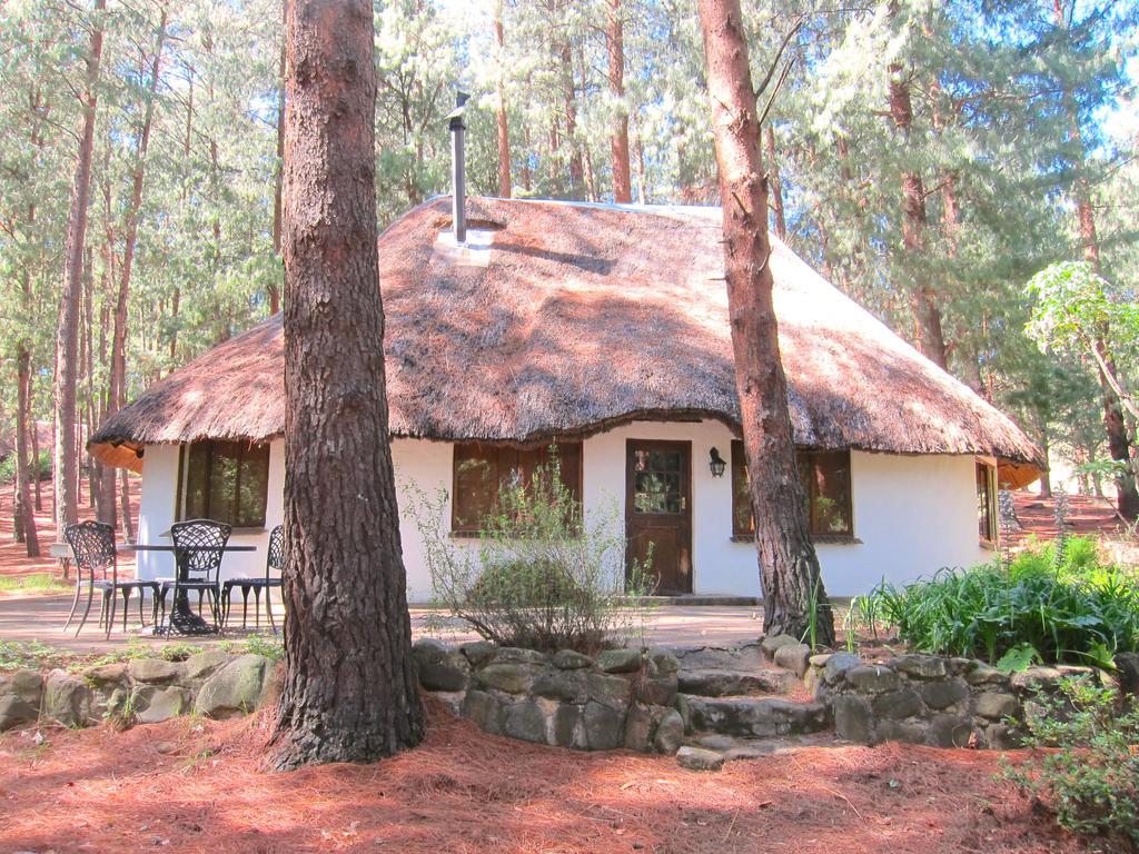 Bauernhof Giantscup Wilderness Reserve Underberg