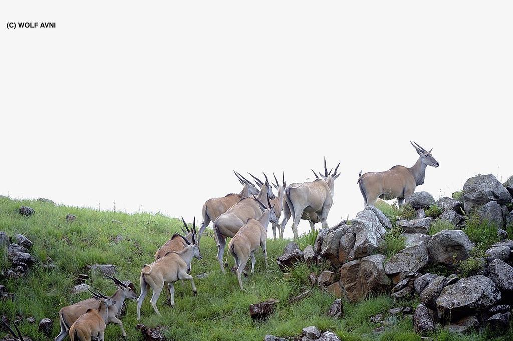 Giantscup Wilderness Reserve