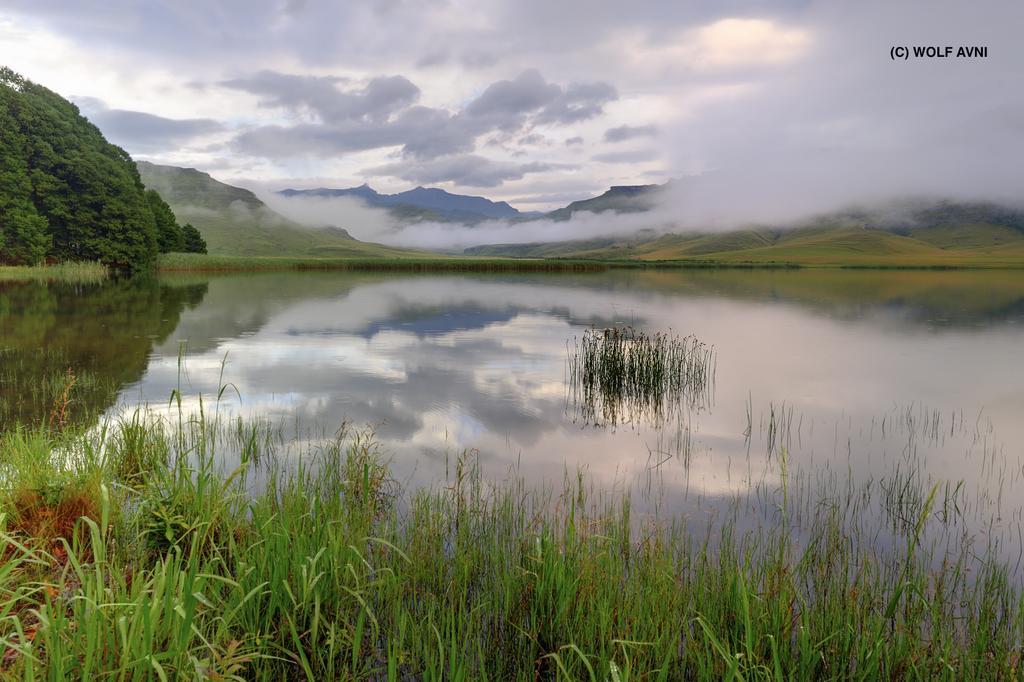 Bauernhof Giantscup Wilderness Reserve *