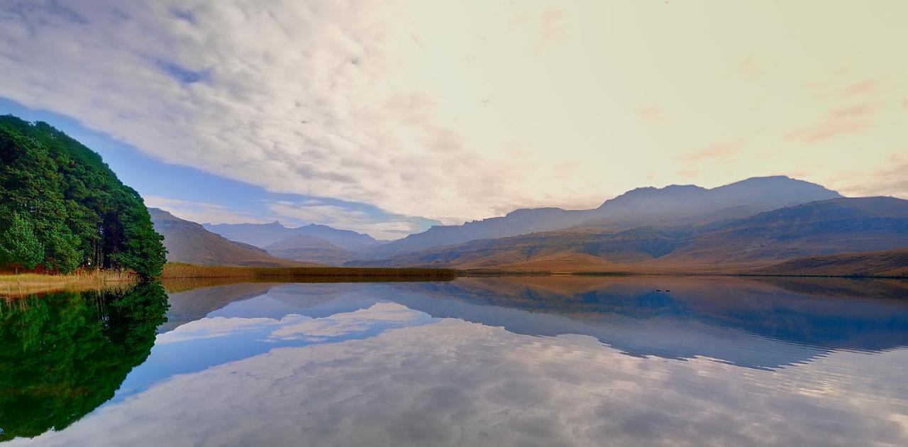Giantscup Wilderness Reserve Underberg